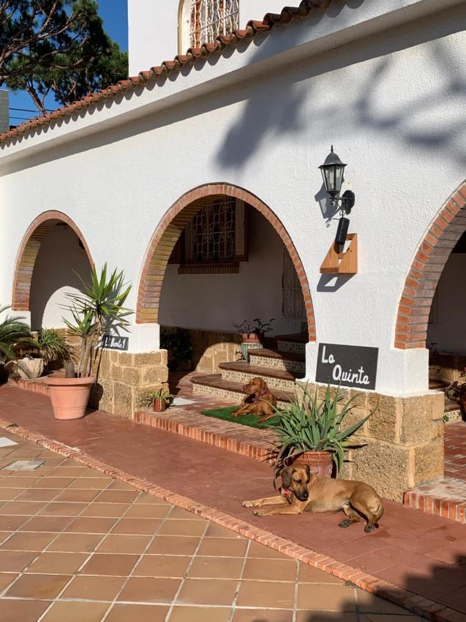 La Quinta - La Barrosa Villa Chiclana de la Frontera Exterior foto